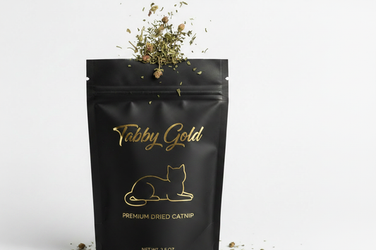 Tabby Gold